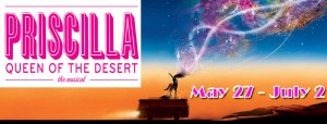 Priscilla Queen of the Desert, the Musical, at the Rhino May 27 - July 2