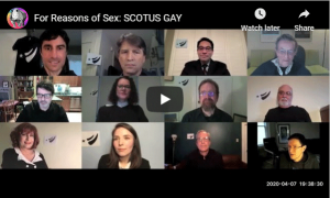 SCOTUS GAY Line-up on Zoom Screen