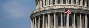United States Capital with Flag