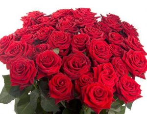 Roses for Georgia