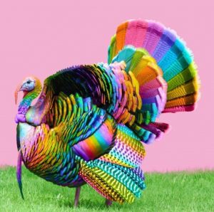 Rainbow Turkey