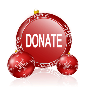Holiday Donate Button