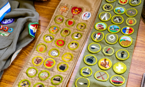 Boy Scout Merit Badge Sashes